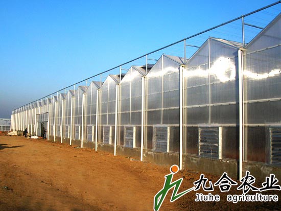 河南三門峽緣分果業(yè)生態(tài)園（pc板智能溫室）